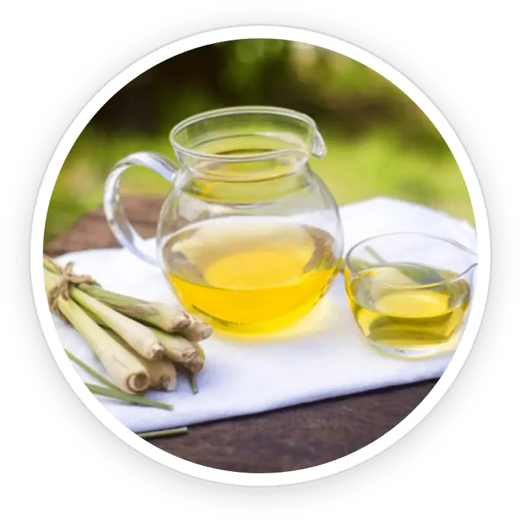 Lemongrass Oil icon
