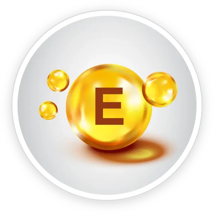 Vitamin E icon